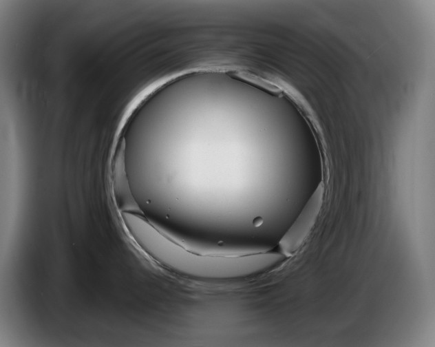 X0000086261344200704191856