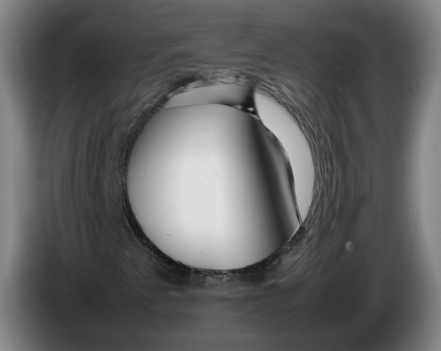 X0000086261345200704191855