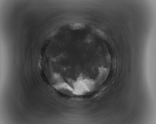 X0000086261346200704191855