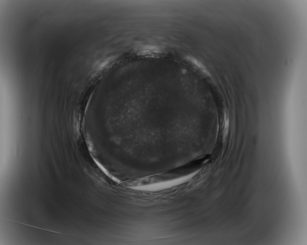 X0000086261348200704191855