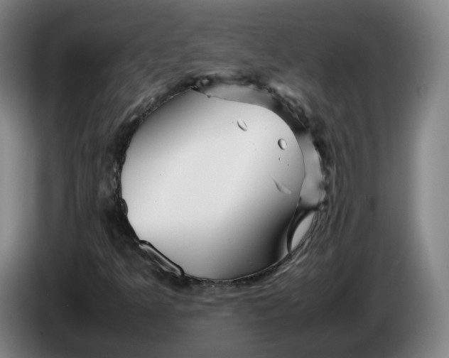 X0000086261349200704191855