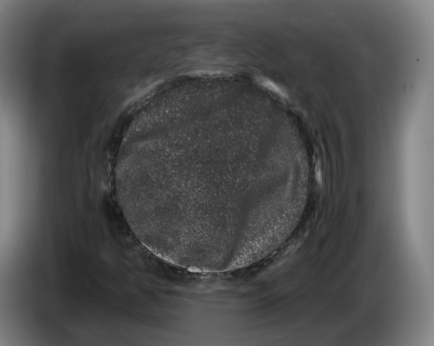 X0000086261350200704191855