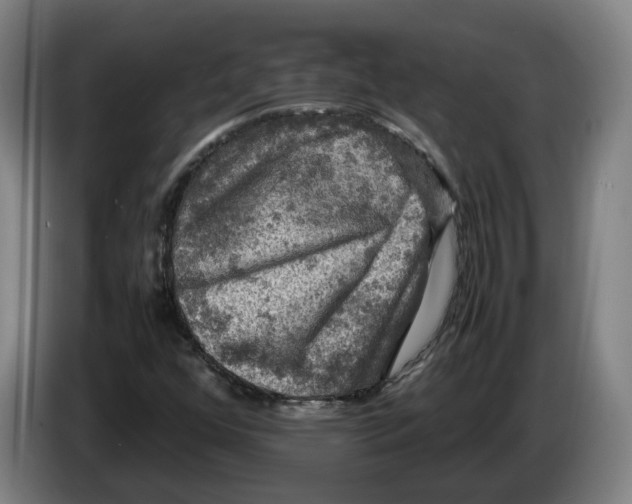 X0000086261352200704191855