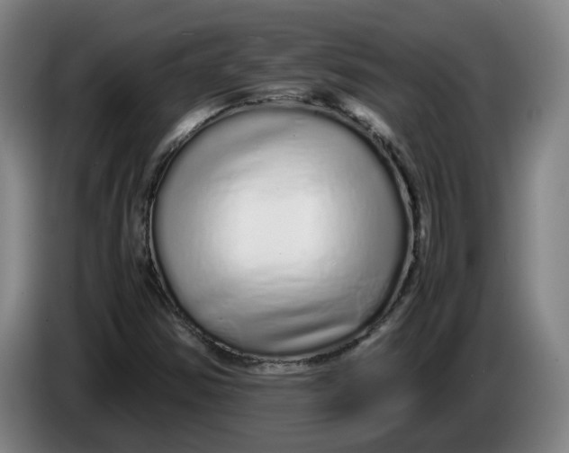X0000086261354200704191855