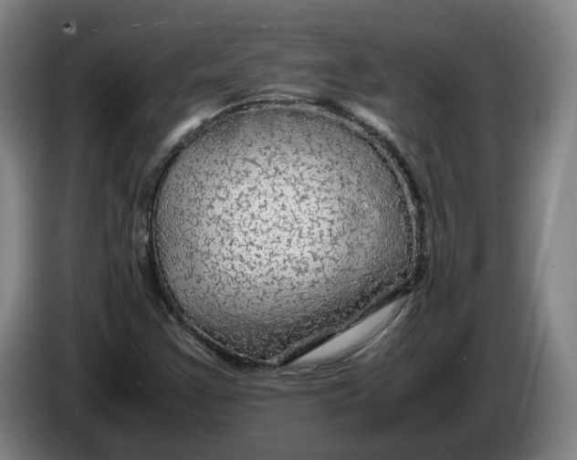 X0000086261355200704191855