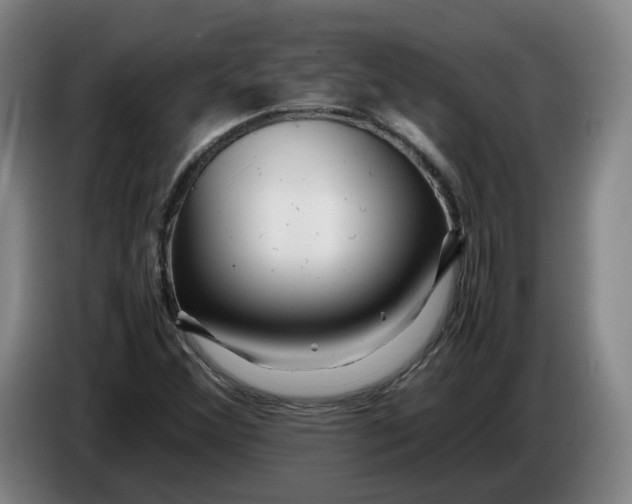 X0000086261356200704191855