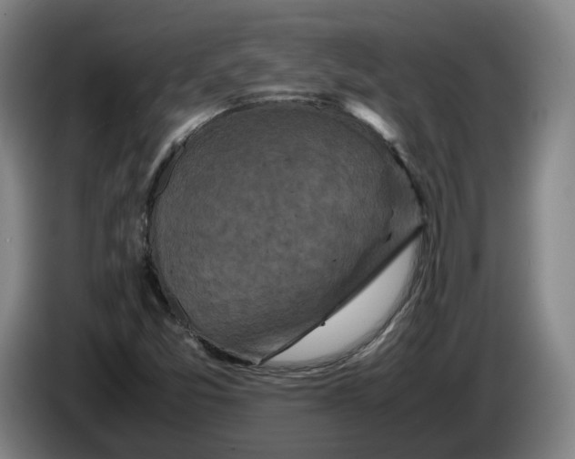 X0000086261357200704191855