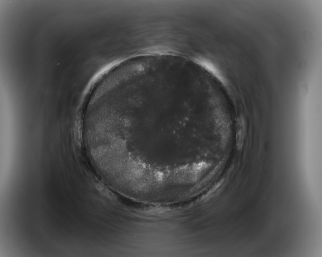 X0000086261358200704191855