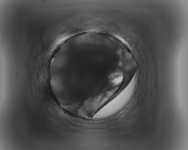X0000086261359200704191855