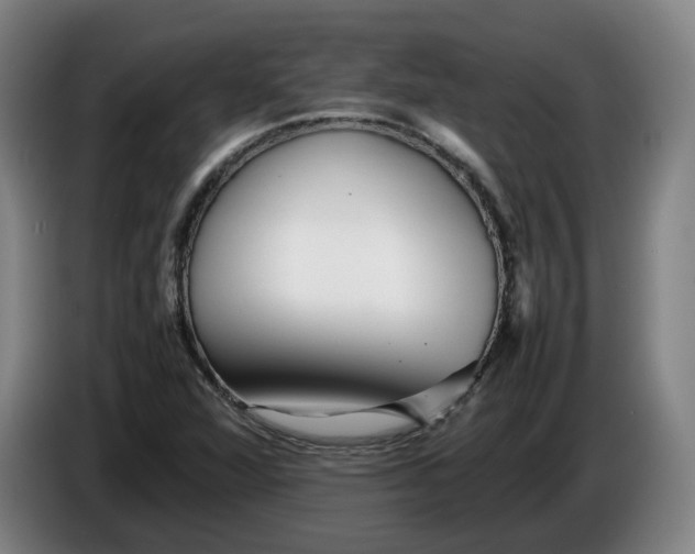 X0000086261360200704191855