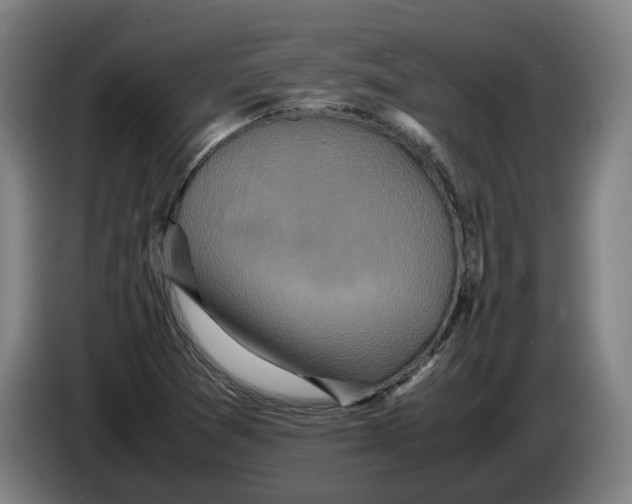 X0000086261361200704191855