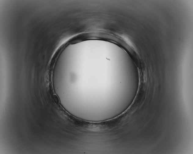 X0000086261364200704191855