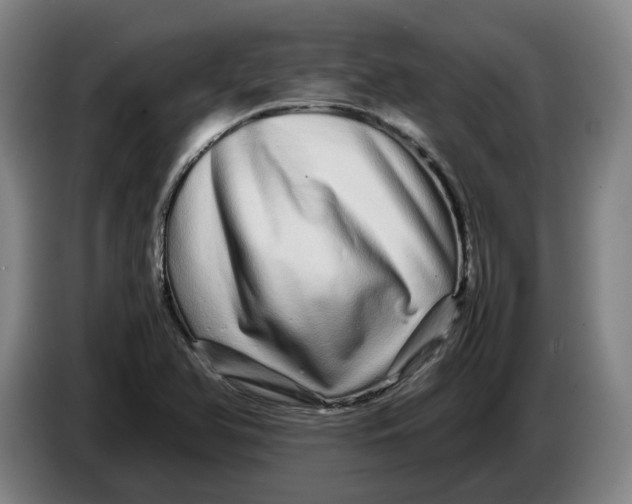 X0000086261366200704191855