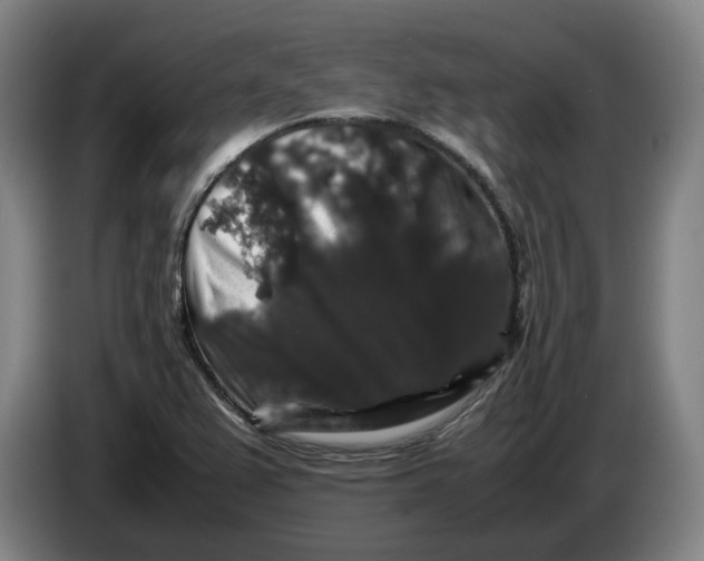 X0000086261367200704191855