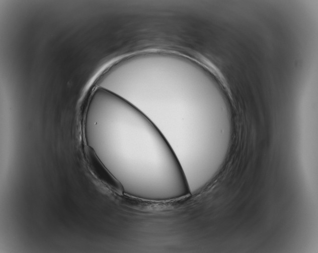 X0000086261368200704191855