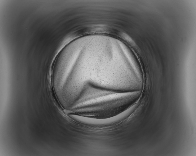 X0000086261370200704191855