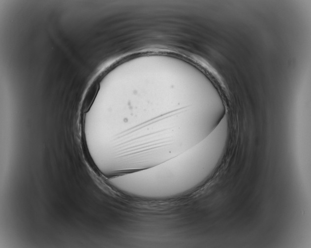 X0000086261372200704191854
