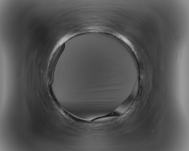 X0000086261373200704191854