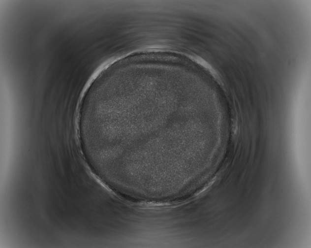 X0000086261374200704191854