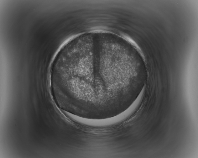 X0000086261376200704191854