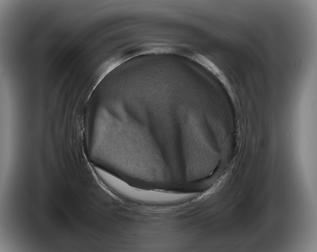 X0000086261377200704191854