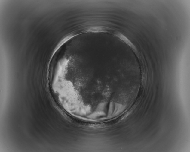 X0000086261378200704191854