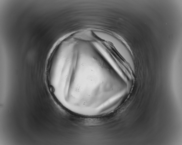 X0000086261379200704191854