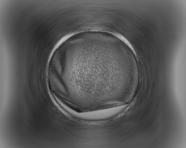 X0000086261381200704191854