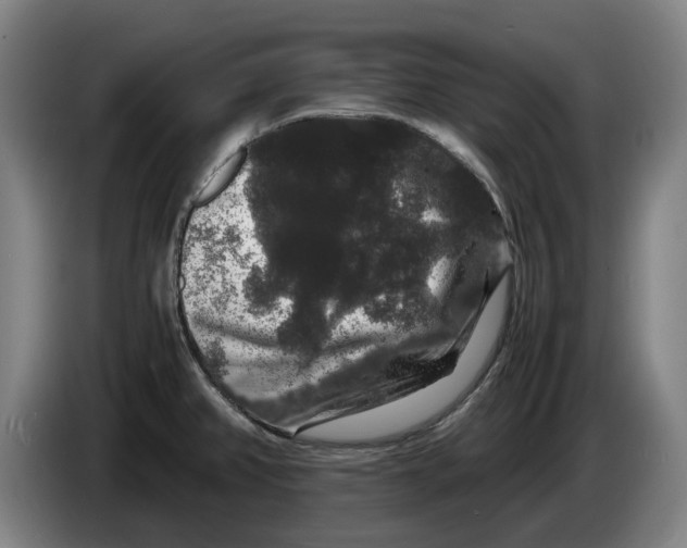 X0000086261382200704191854