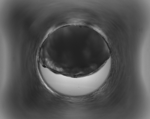 X0000086261383200704191854