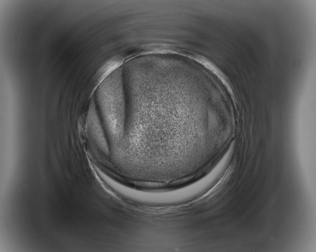 X0000086261385200704191854