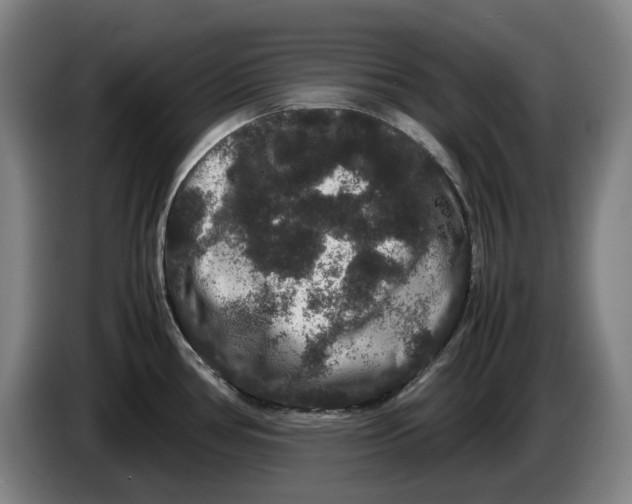 X0000086261386200704191854