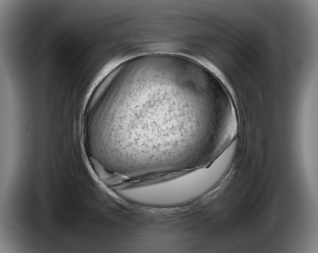 X0000086261389200704191854