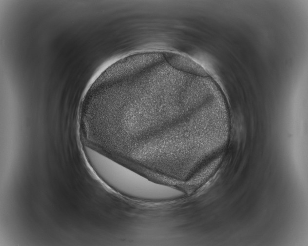X0000086261390200704191854