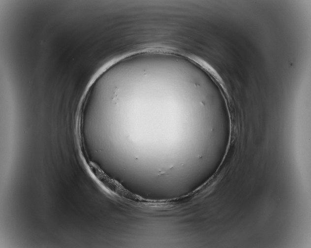 X0000086261391200704191854