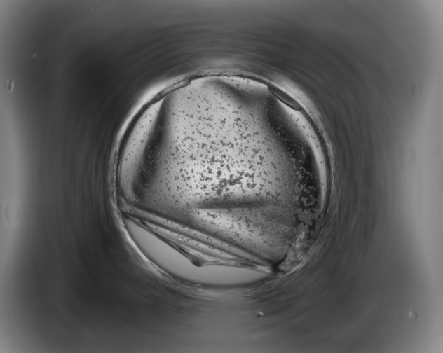 X0000086261392200704191854