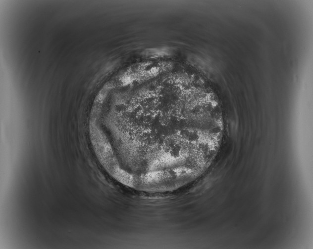 X0000086261393200704191854