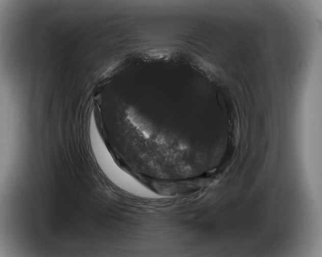 X0000086261394200704191854