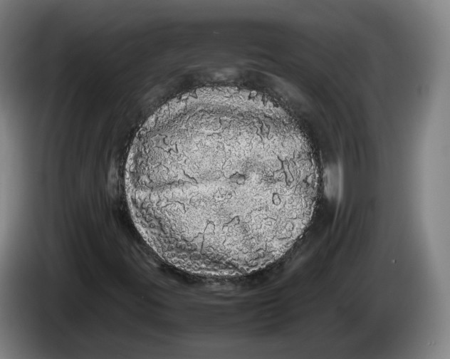 X0000086261395200704191854