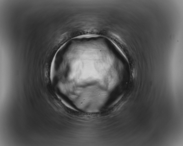 X0000086261396200704191854