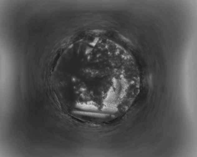X0000086261397200704191854