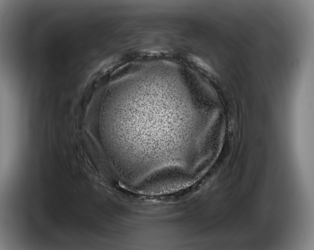 X0000086261398200704191854