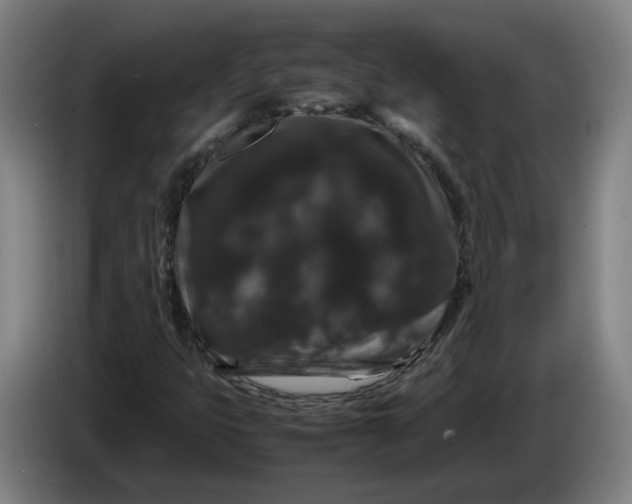 X0000086261399200704191854
