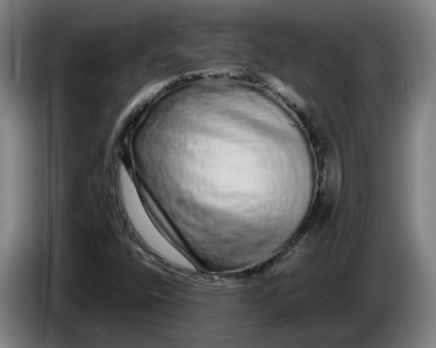 X0000086261400200704191854