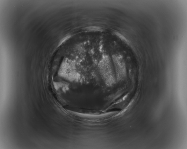 X0000086261401200704191854