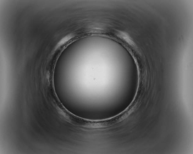 X0000086261402200704191854