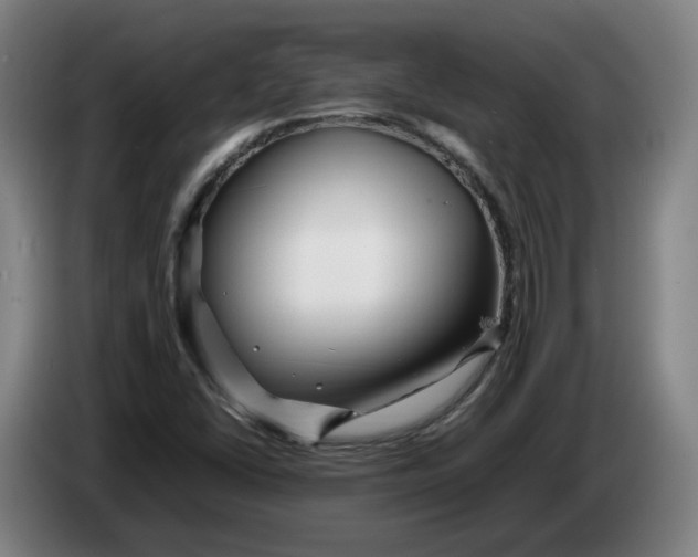 X0000086261406200704191854