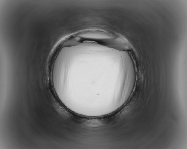 X0000086261408200704191854