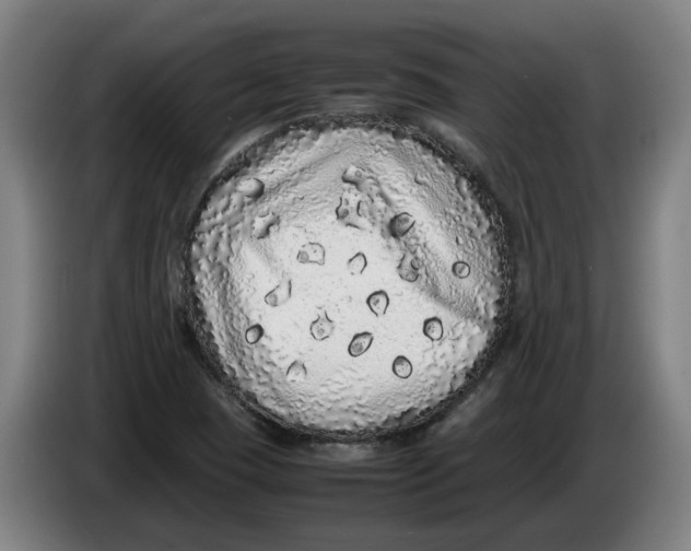X0000086261409200704191854