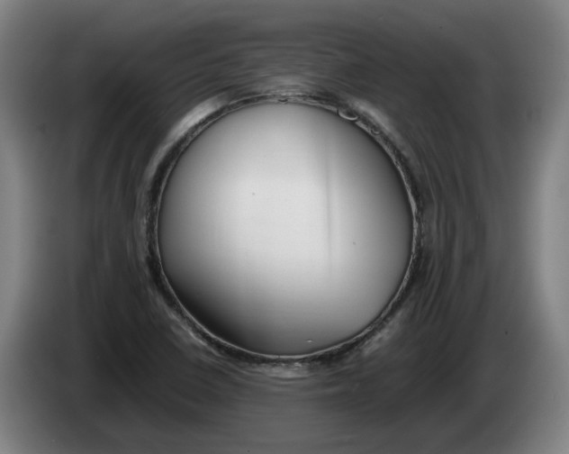 X0000086261410200704191854